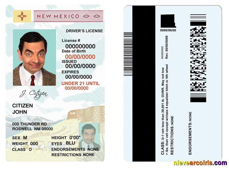 USA State New Mexico driving license,